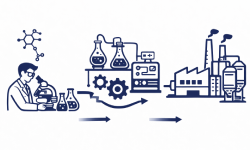 Process Development